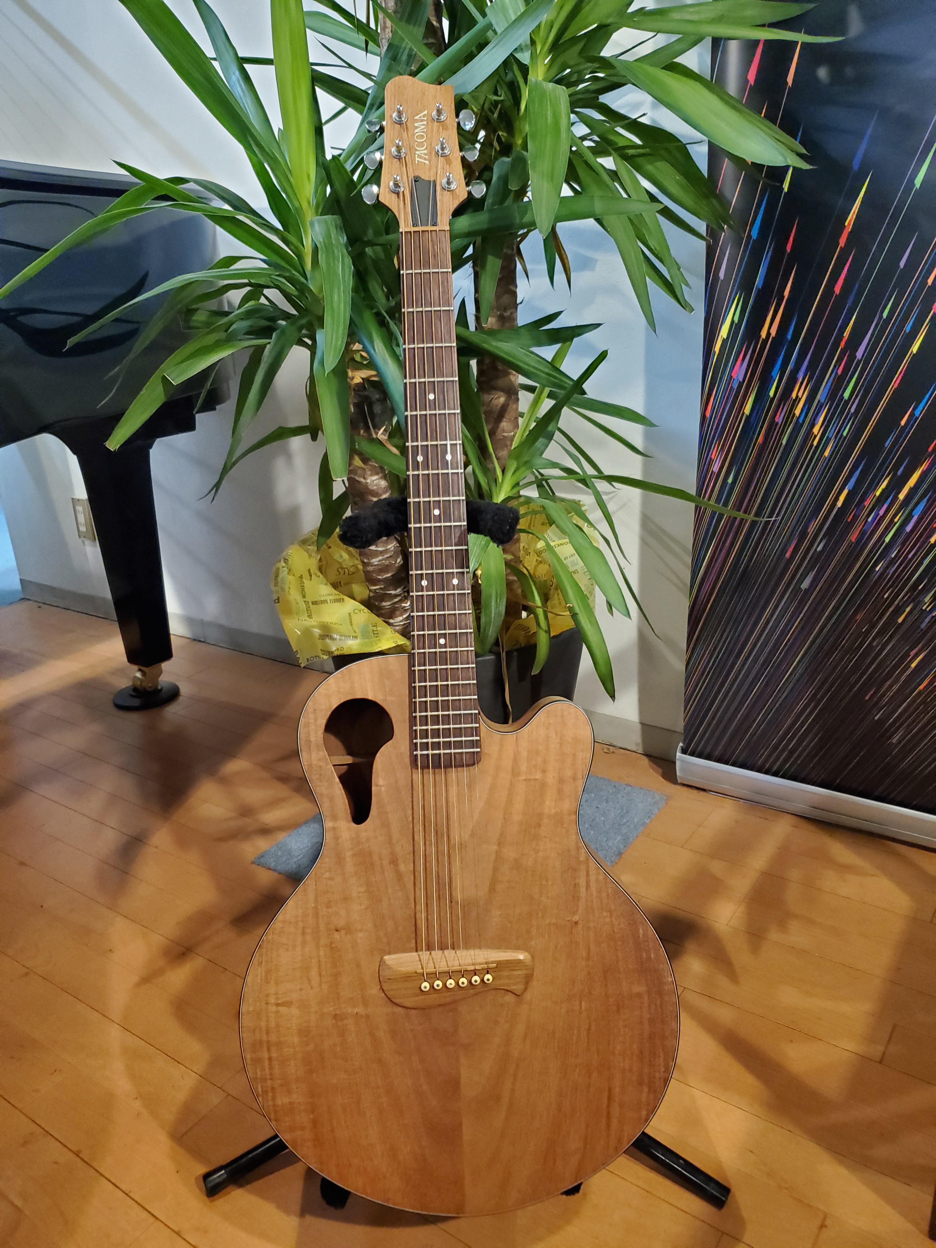 希少な逸品・柳川店】TACOMA GUITAR(タコマギター)のご紹介 - 人と音楽