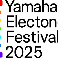非売品★音楽 ヤマハエレクトーン コンクール 入賞 銅メダル 記念品 贈呈 sddefault.jpg